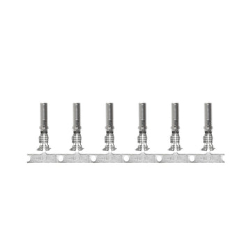 Pacer DTP Deutsch Socket f/10 AWG Wire - Size 12 Contact (25 Pack)